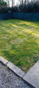 Photo de galerie - Tonte de pelouse - Débroussaillage