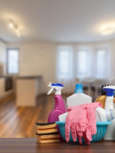 Photo de galerie - Ménage et entretien du logement 