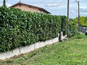 Photo de galerie - Paysagiste - Aménagement du jardin