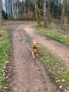 Photo de galerie - Sven