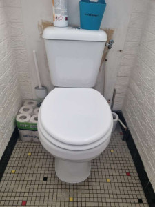 Photo de galerie - Remplacement WC