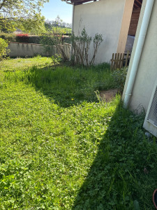 Photo de galerie - Tonte de pelouse - Débroussaillage