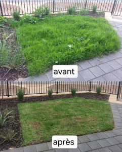 Photo de galerie - Jardinier