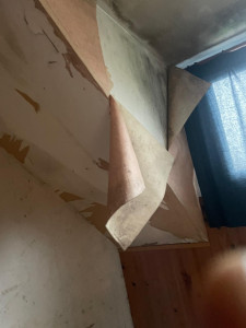 Photo de galerie - Bonjour je suis entrain de chercher travaux je suis autonome 