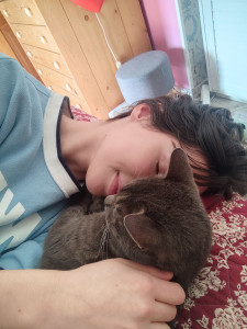 Photo de galerie - Gardes de 3 chats sur périodes d'une semaine, 3 visites par jour dont un médicamenté (pas de photos) + expérience personnelle (animaux de compagnie)