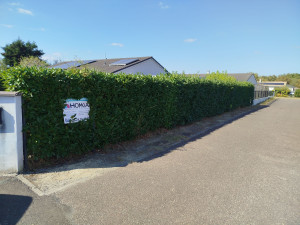 Photo de galerie - Avant 