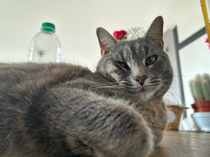 Photo de galerie - Une grande star 