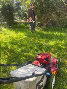 Photo de galerie - Tonte de pelouse coupe des bordures (Morsang sur Orge 91)