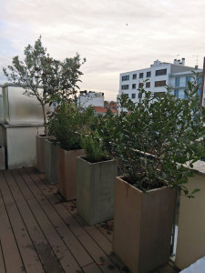 Photo de galerie - Plantations balcon