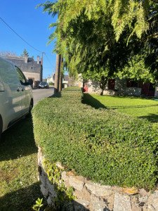 Photo de galerie - Taille de haies et d'arbustes