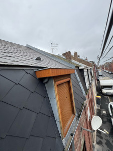Photo de galerie - Habillage chiens assis avec plaque couleur chêne doré 