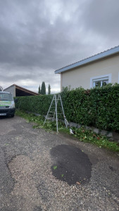 Photo de galerie - Taille