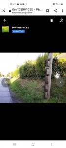 Photo de galerie - Taille de haies et d'arbustes