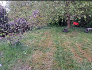 Photo de galerie - ​? Réparation & Entretien Jardinage

​Je répare tout votre matériel (tondeuses, tronçonneuses, etc.), thermique ou électrique.

✅ Réparation & Remise en état

✅ Affûtage de lames et chaînes

​Travail rapide et soigné. Contactez-moi !

