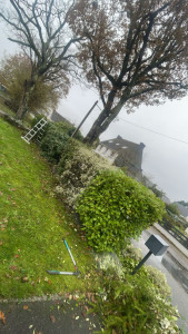 Photo de galerie - Taille de haies et d'arbustes