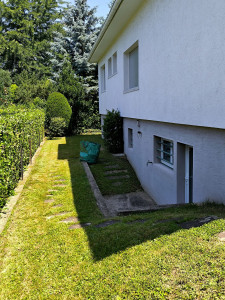 Photo de galerie - Tonte de pelouse - Débroussaillage