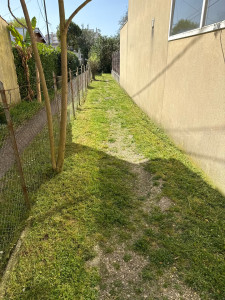 Photo de galerie - Tonte de pelouse - Débroussaillage