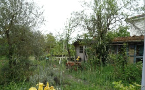 Photo de galerie - Entretien extérieur