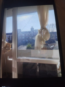 Photo de galerie - Nettoyage de vitres 