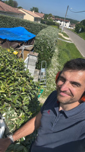 Photo de galerie - Taille de haies et d'arbustes