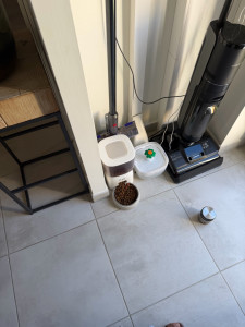 Photo de galerie - Aujourd’hui, j’ai donné à manger aux chats, et j’ai changé sa litière et je suis resté un peu avec lui en absence de son maître