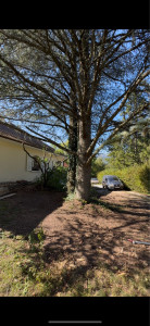 Photo de galerie - Paysagiste - Aménagement du jardin