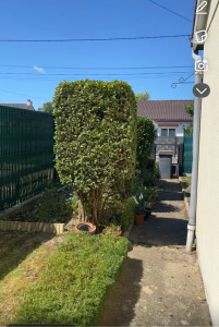 Photo de galerie - à la demande du client 