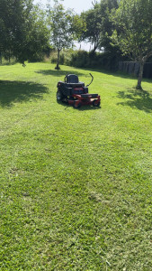 Photo de galerie - Tonte 