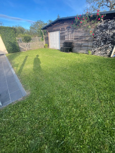 Photo de galerie - Tonte 