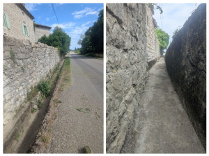 Photo de galerie - Débroussaillage + nettoyage et évacuation des déchets 