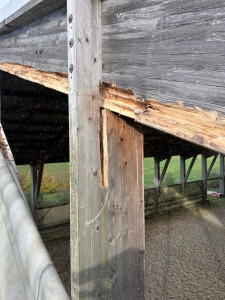 Photo de galerie - Charpente