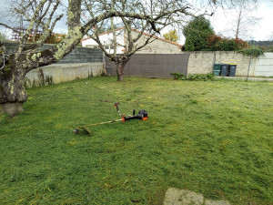 Photo de galerie - Débroussaillage