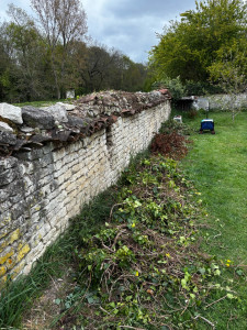 Photo de galerie - Tonte de pelouse - Débroussaillage