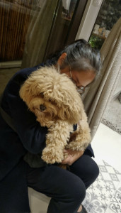 Photo de galerie - Garde animaux