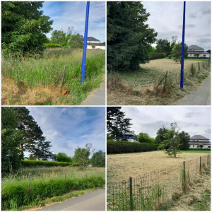 Photo de galerie - Debroussailleuse, tonte, taille de la haies. 
