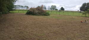 Photo de galerie - Débroussaillage de ronces énormes