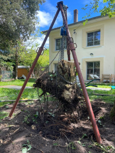 Photo de galerie - Jardinier