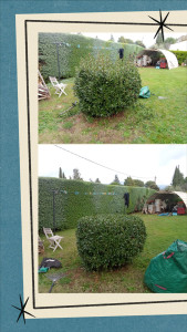 Photo de galerie - Jardinier