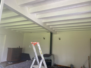 Photo de galerie - Peinture satinée poutre 