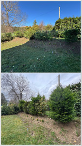 Photo de galerie - Jardinier