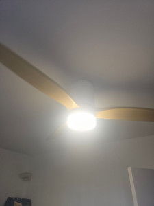 Photo de galerie - Lustre ventilateur 