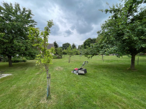 Photo de galerie - Tonte de pelouse