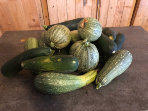 Photo de galerie - Légumes de mon jardin 