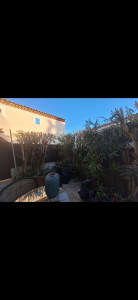 Photo de galerie - Elagage et coupe d'arbres