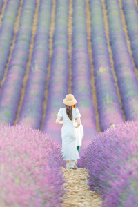 Photo de galerie - Plateau de valensole, séance portrait couple