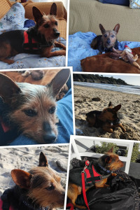 Photo de galerie - Un habitué..
?