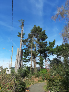 Photo de galerie - Jardinier