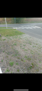 Photo de galerie - Jardinier