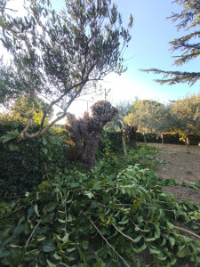Photo de galerie - Après mon passage 