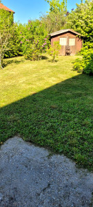 Photo de galerie - Tonte de pelouse - Débroussaillage